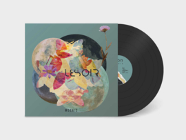 Mosaic Vinyl